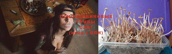 стафф Абинск