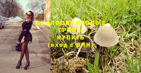 шишки Надым