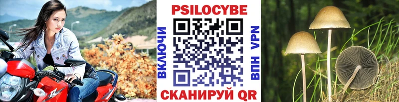 Галлюциногенные грибы мухоморы где можно купить Ува